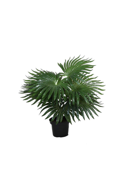 Kunstplanten