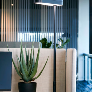 Götessons Aloe Vera 550 – Kunstplant met Stevige Succulentbladeren
