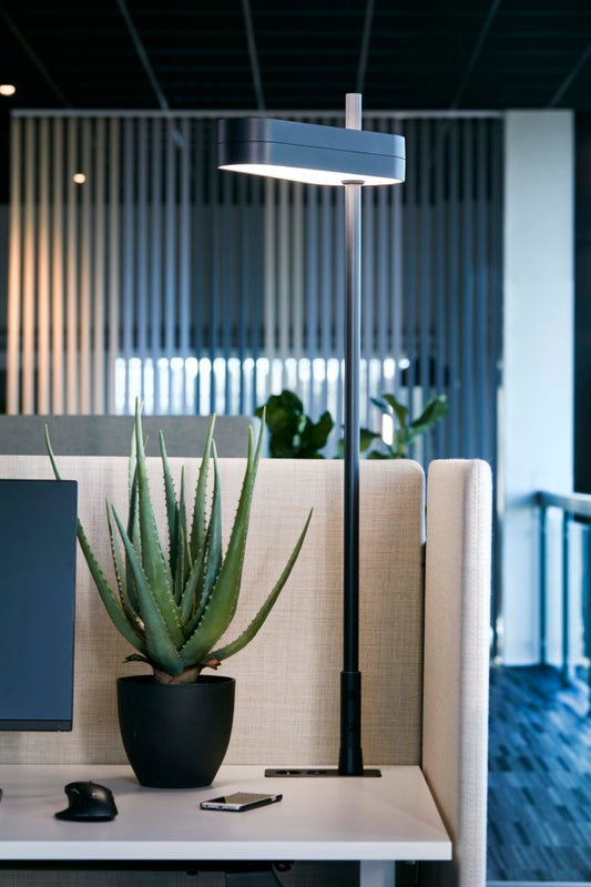 Götessons Aloe Vera 550 – Kunstplant met Stevige Succulentbladeren