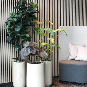 Götessons Anthurium 650 – Kunstplant met Glanzende Bladeren
