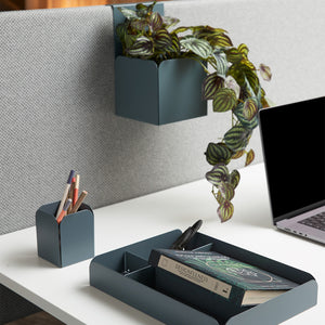 Götessons Peperomia 450 – Realistische Kunstplant met Glanzende Peperomia-bladeren