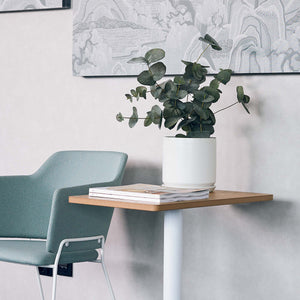 Götessons Eucalyptus 500 – Kunstplant met Ronde Eucalyptusbladeren