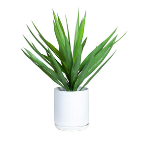 Götessons Palermo White – Keramische Plantenpot, 7 Liter