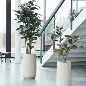 Götessons Ficus Robusta 1800 – Grote Kunstplant met Donkergroene Glanzende Bladeren
