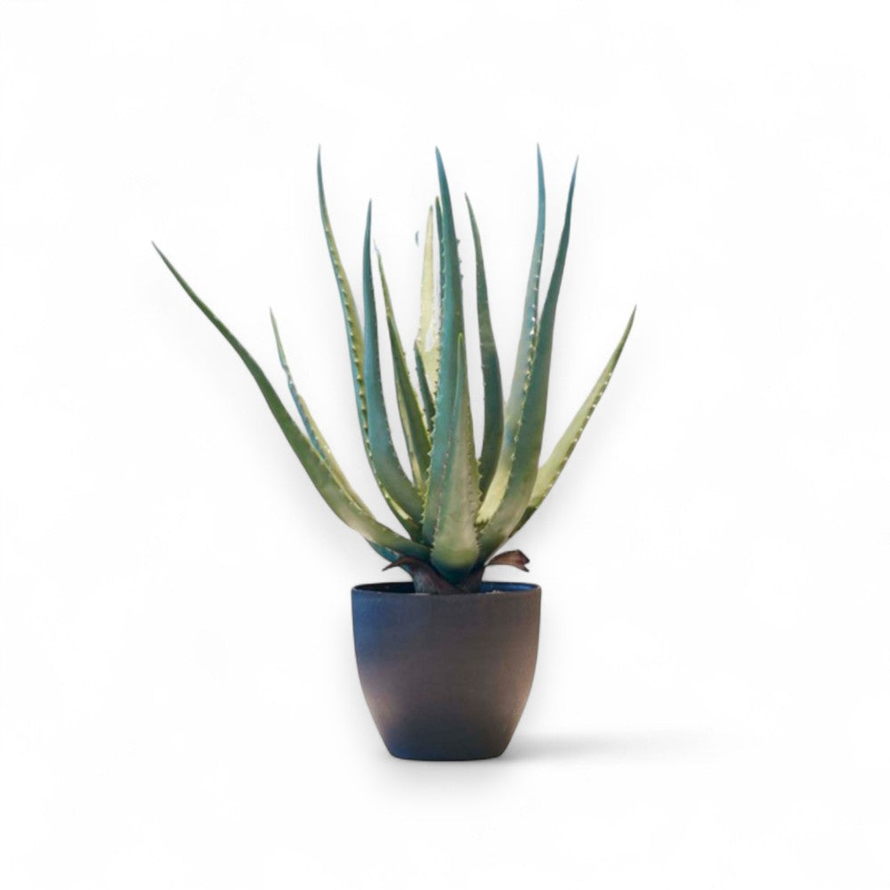 Götessons Aloe Vera 550 – Kunstplant met Stevige Succulentbladeren