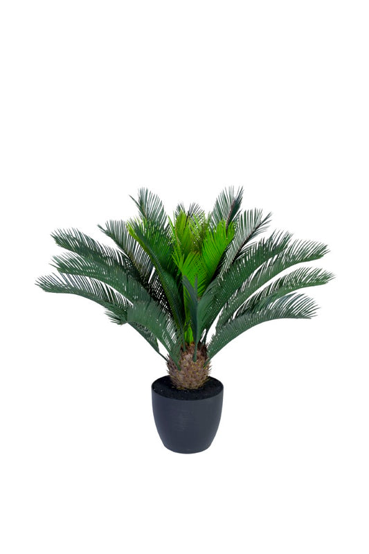 Götessons Cycas Palm 700 – Tropische Kunstpalm met Waaierbladeren