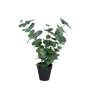 Götessons Eucalyptus 500 – Kunstplant met Ronde Eucalyptusbladeren