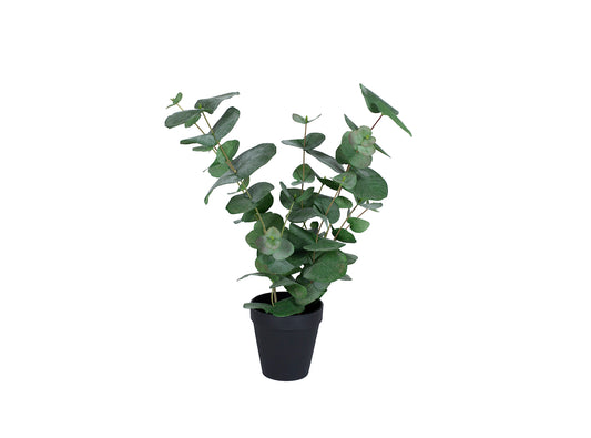 Götessons Eucalyptus 500 – Kunstplant met Ronde Eucalyptusbladeren