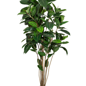 Götessons Ficus Robusta 1800 – Grote Kunstplant met Donkergroene Glanzende Bladeren