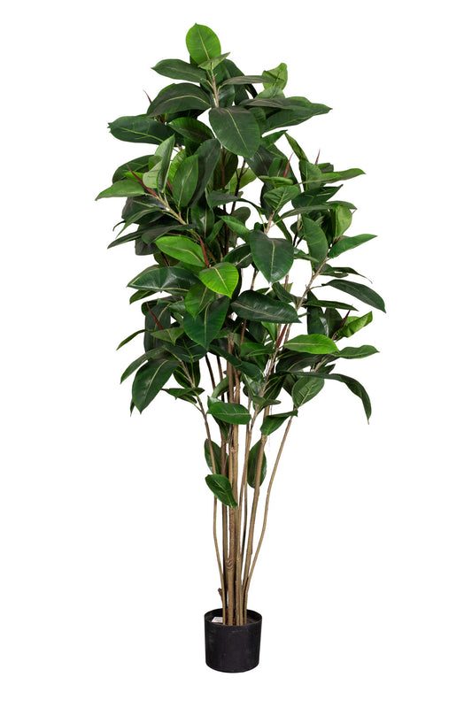 Götessons Ficus Robusta 1800 – Grote Kunstplant met Donkergroene Glanzende Bladeren