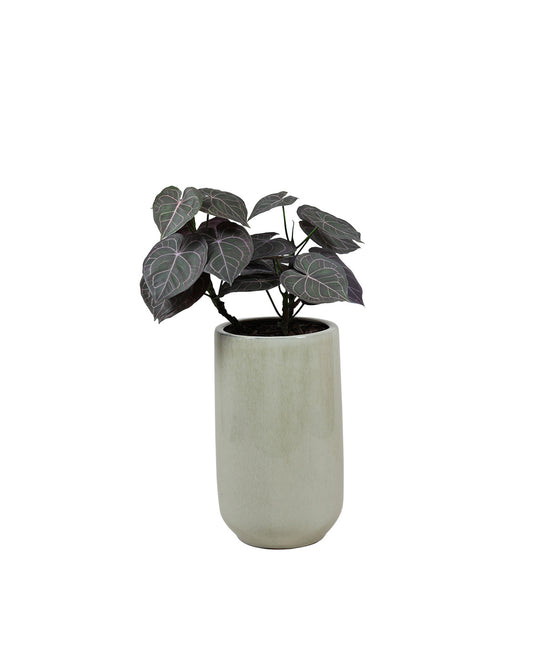 Götessons Anthurium 650 – Kunstplant met Glanzende Bladeren