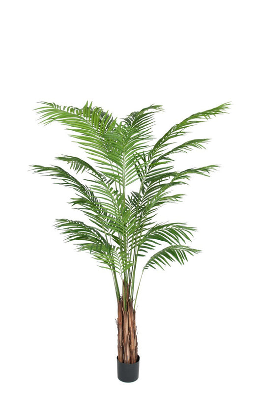 Götessons Areca Palm 2100 – Extra Hoge Kunstpalm met Fijn Geveerde Bladeren