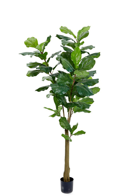 Götessons Fiddle Leaf Fig Tree 1500 – Kunstplant met Grote Vioolvormige Bladeren