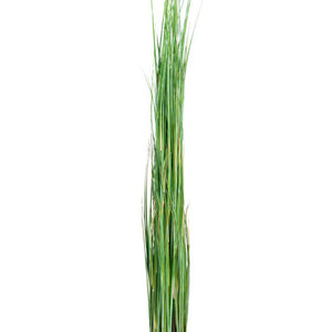 Götessons Grass 1300 – Hoge Kunstgrasplant met Smalle Sprieten