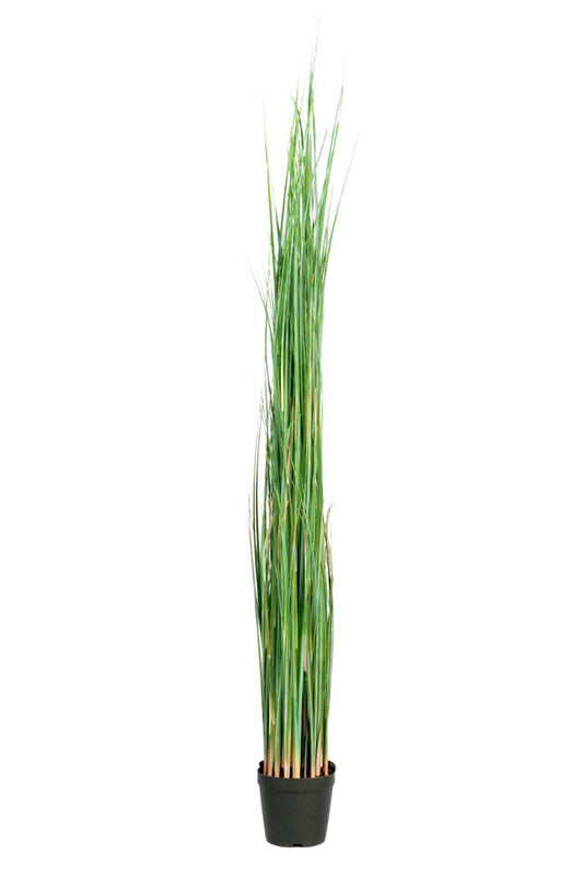Götessons Grass 1300 – Hoge Kunstgrasplant met Smalle Sprieten