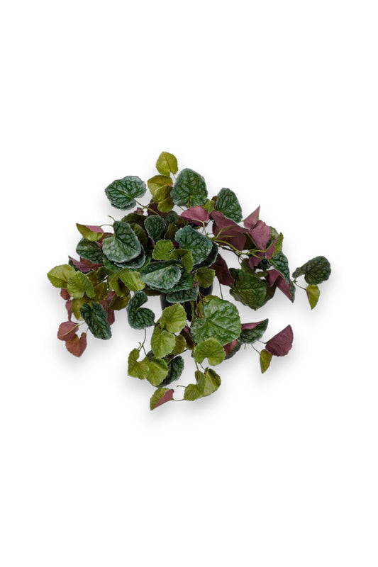 Götessons Senecio – Hangende Kunstplant voor PlantPanel Slice