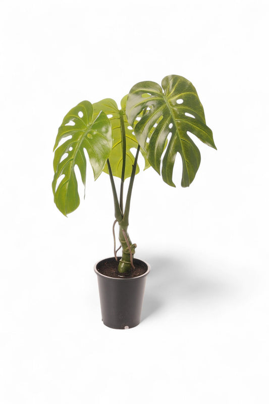 Götessons Monstera 700 – Kunstplant met Gespleten Bladeren