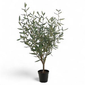 Götessons Olive Tree 1000 – Kunst Olijfboom met Fijn Vertakte Bladstructuur