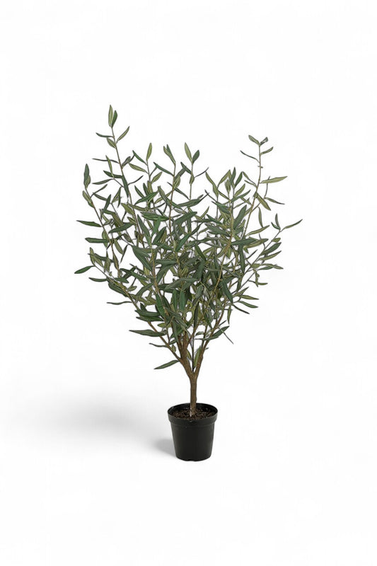 Götessons Olive Tree 1500 – Kunst Olijfboom met Slanke Takstructuur en Verfijnde Bladeren