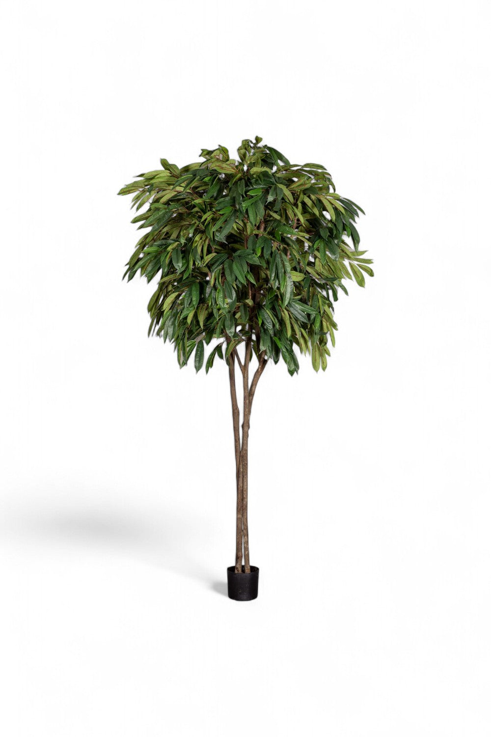 Götessons Longifolia 2600 – Zeer Hoge Kunstboom met Smalle Bladeren