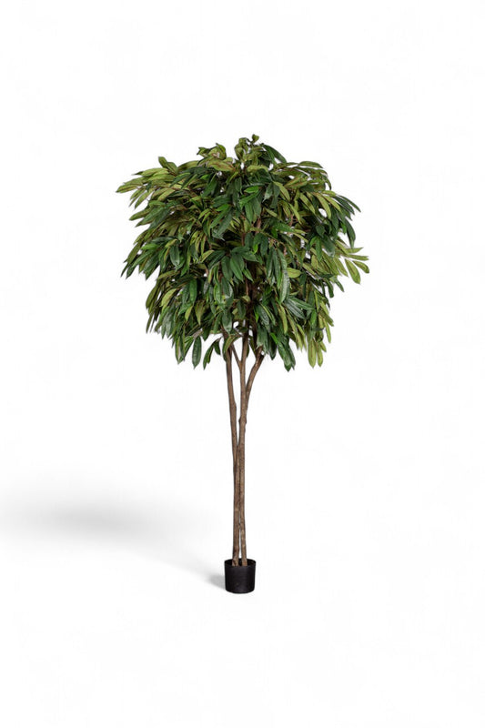 Götessons Longifolia 2600 – Zeer Hoge Kunstboom met Smalle Bladeren