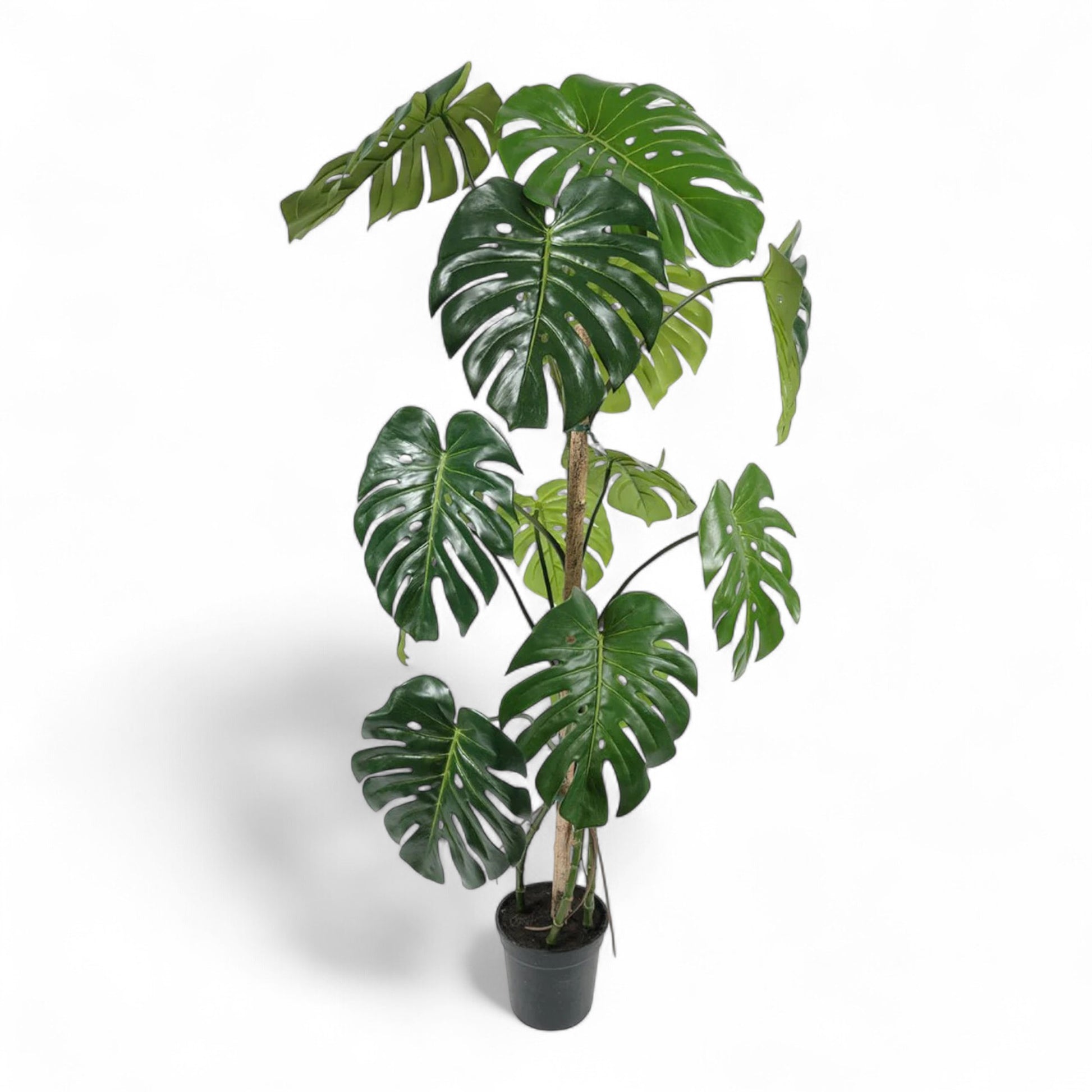 Götessons Monstera 1500 – Grote Kunstplant met Gespleten Tropische Bladeren