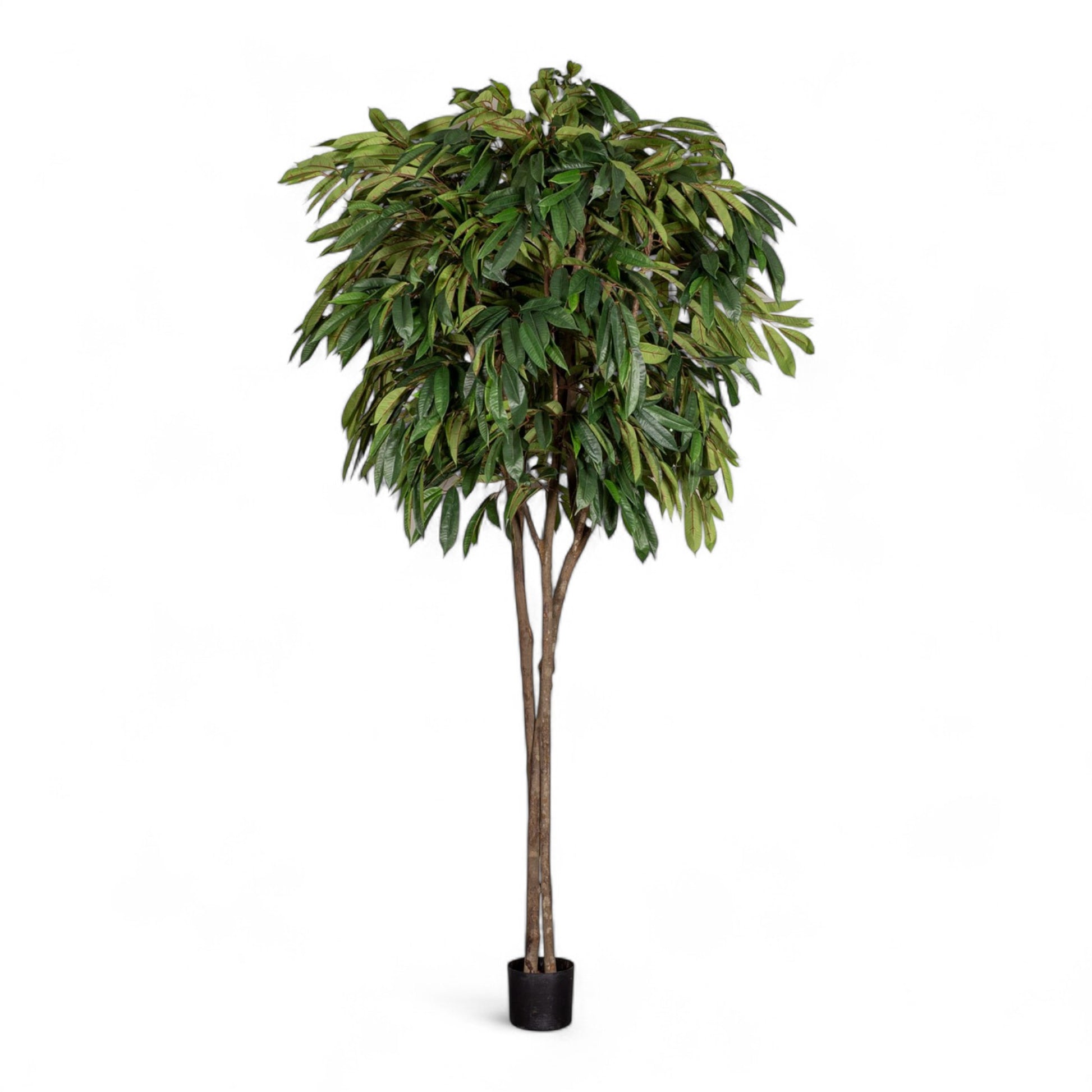 Götessons Longifolia 2600 – Zeer Hoge Kunstboom met Smalle Bladeren
