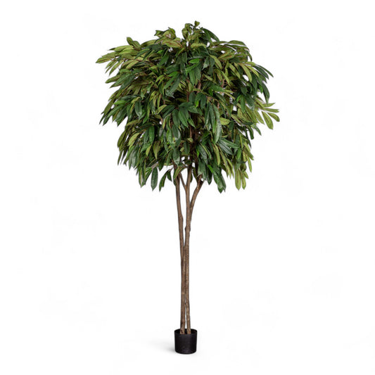 Götessons Longifolia 2600 – Zeer Hoge Kunstboom met Smalle Bladeren