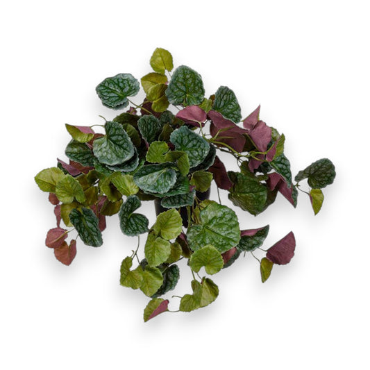Götessons Senecio – Hangende Kunstplant voor PlantPanel Slice