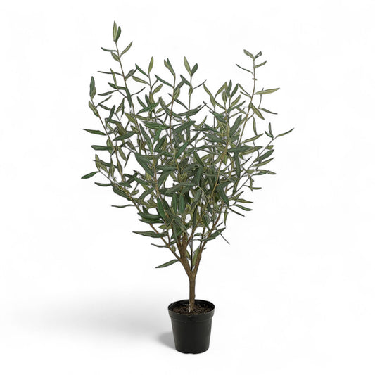 Götessons Olive Tree 1500 – Kunst Olijfboom met Slanke Takstructuur en Verfijnde Bladeren