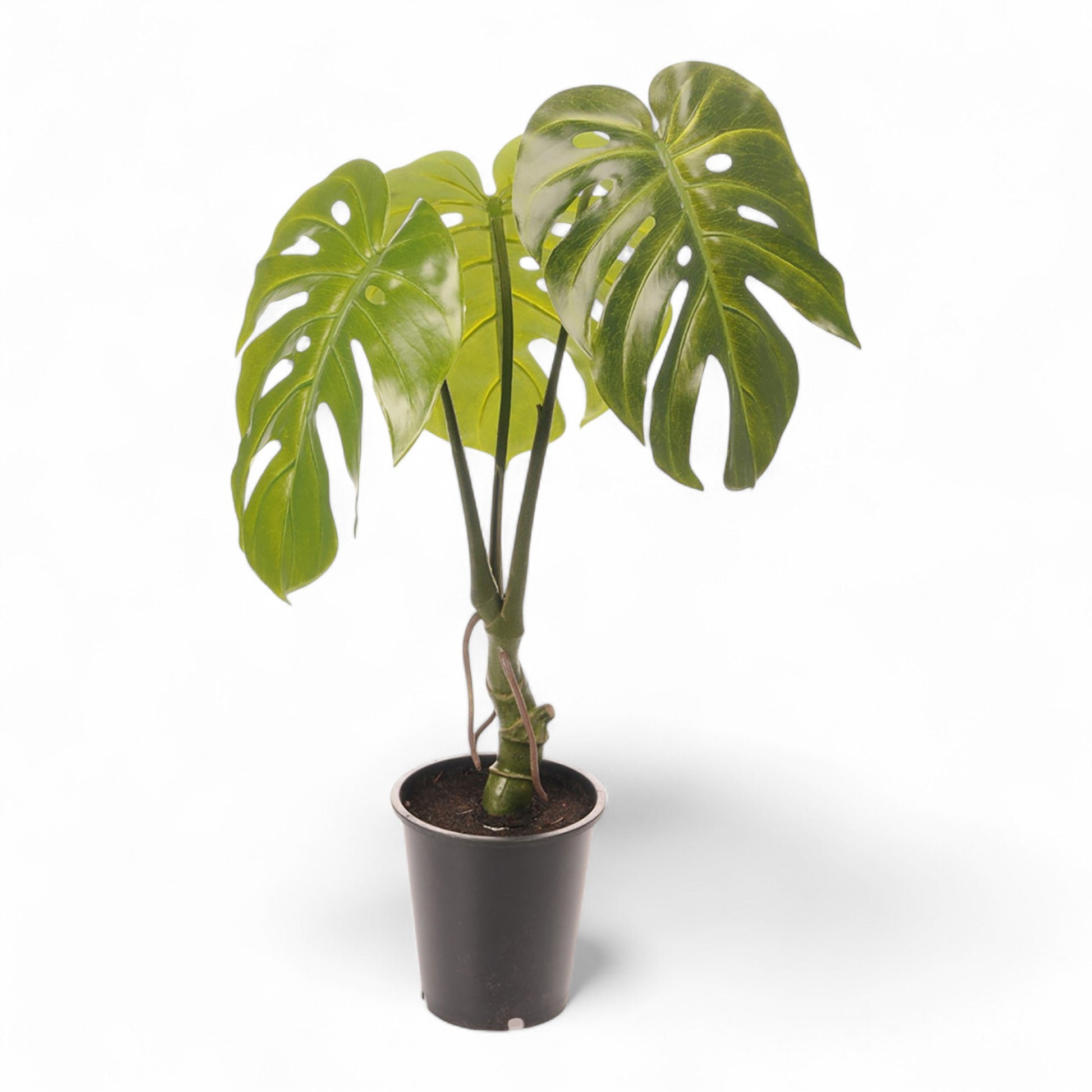 Götessons Monstera 700 – Kunstplant met Gespleten Bladeren