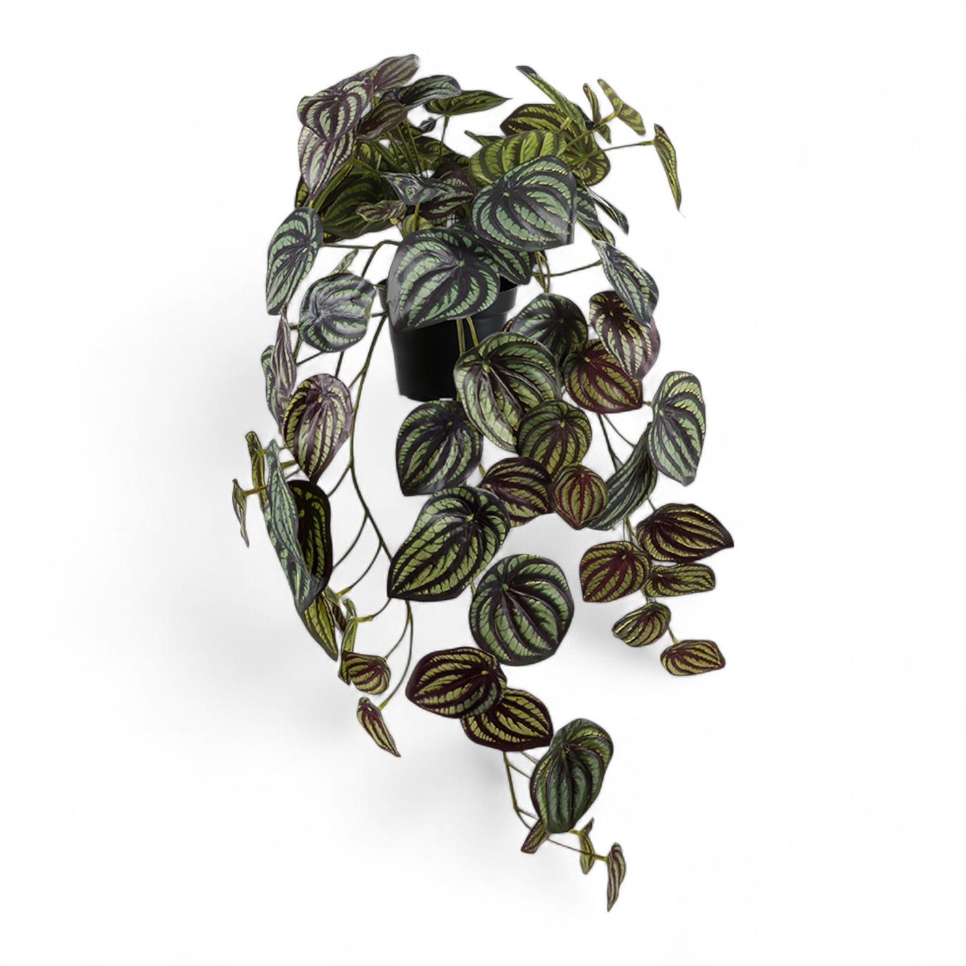 Götessons Peperomia 450 – Realistische Kunstplant met Glanzende Peperomia-bladeren