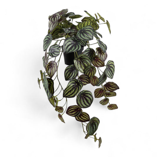 Götessons Peperomia 450 – Realistische Kunstplant met Glanzende Peperomia-bladeren