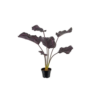 Götessons Calathea Burgundy 550 – Kunstplant met Donkerrood Geaderde Bladeren