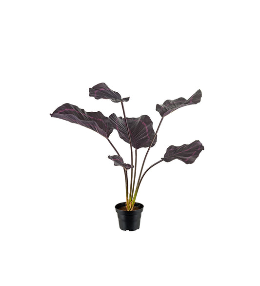 Götessons Calathea Burgundy 550 – Kunstplant met Donkerrood Geaderde Bladeren