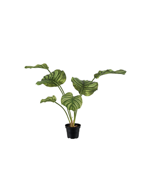 Götessons Calathea Green 550 – Kunstplant met Groen Geaderde Bladeren