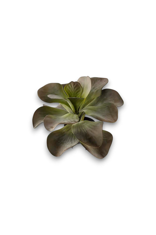Götessons Kalanchoe 250 – Compacte Kunstplant met Brede Bladeren