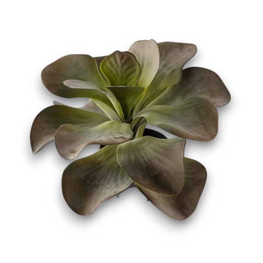 Götessons Kalanchoe 250 – Compacte Kunstplant met Brede Bladeren