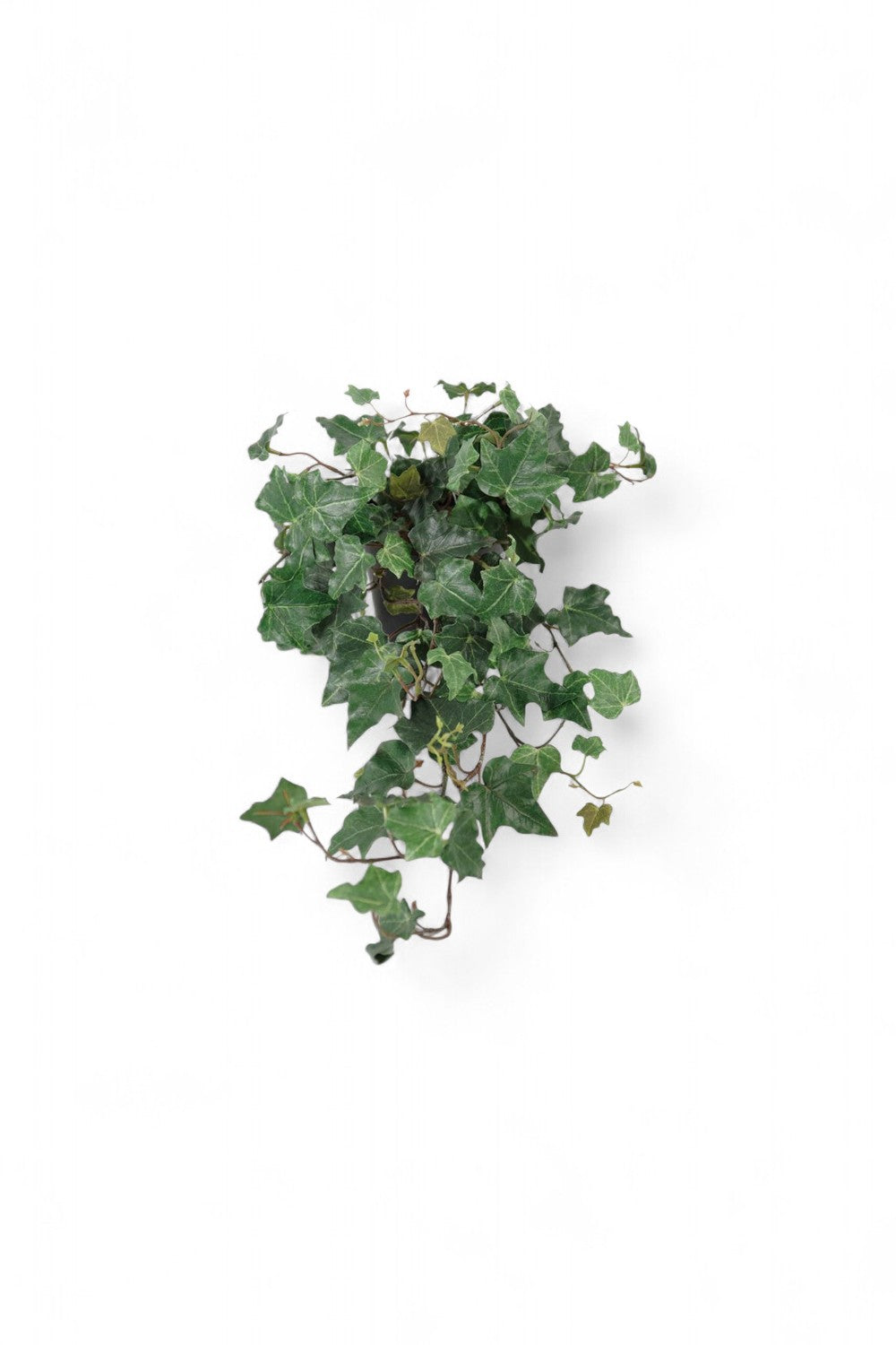 Götessons Ivy  – Hangende Kunstklimop voor PlantPanel Slice