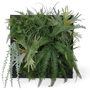 Götessons Flora Panel – Akoestisch Plantenpaneel 580 x 580 mm met Houten Frame